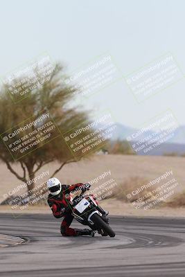 media/Nov-30-2025-TrackXperience (Sun) [[c0061d280f]]/2-Level 2/Session 6 Turn 4 Tree of Life/